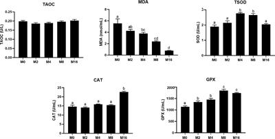 Effects of Dietary Mannan Oligosaccharides on Non-Specific Immunity, Intestinal Health, and Antibiotic Resistance Genes in Pacific White Shrimp Litopenaeus vannamei